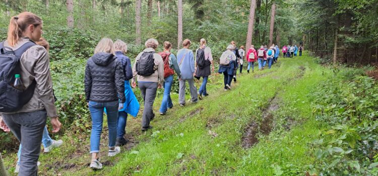 Frauenpilgern am 5.9.2026 Frauenpilgern am 5.9.2026